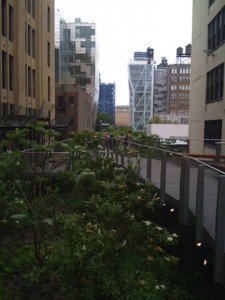 Highline Highline