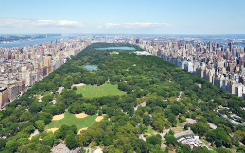 CP view one 57